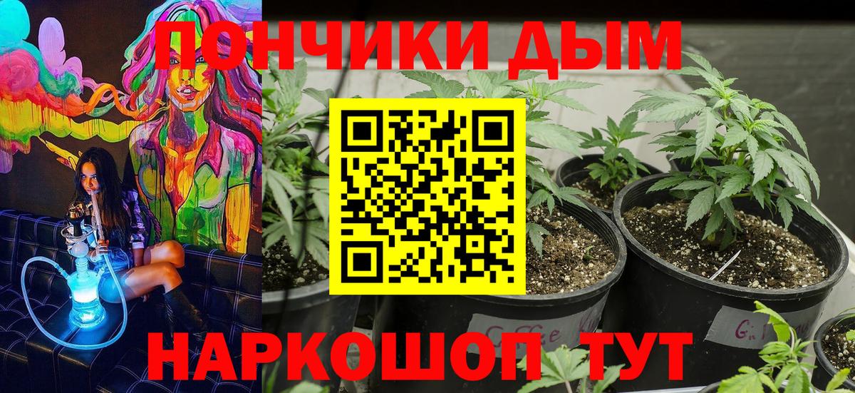 Конопля планчик  Вход с VPN  Бошки Шишки планчик  Бошки Шишки конопля  Александров 